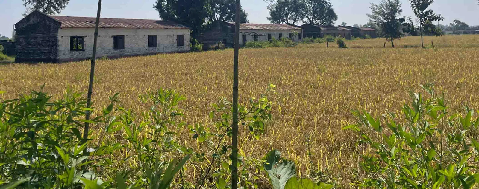 Fostering Sustainable Farming & Clean Rural Growth