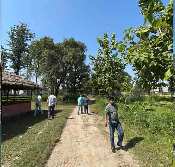 New High-Yield Sugarcane Nursery Program Launched